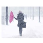 Оранжевый уровень опасности объявлен в Беларуси 21 января из-за сильного ветра