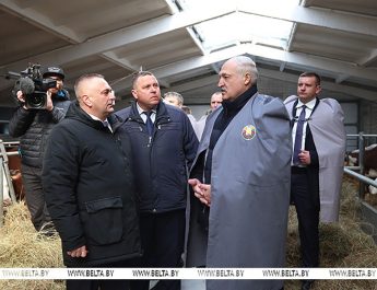 Лукашенко ориентирует на более быстрое развитие племенного животноводства в Беларуси