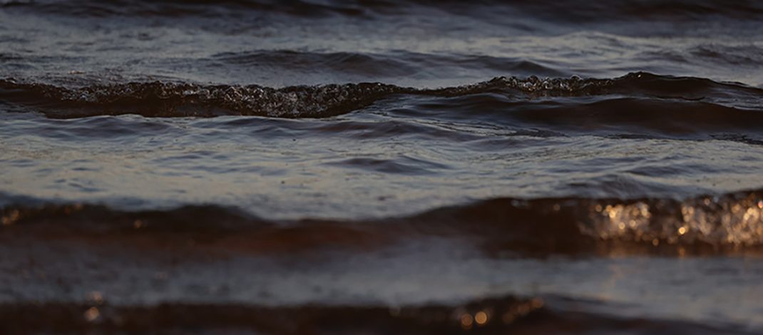 Специальное комплексное мероприятие «Нерест» стартовало в Беларуси