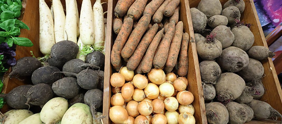 Минсельхозпрод установил предельные максимальные цены на овощи и яблоки для госнужд