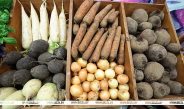 Минсельхозпрод установил предельные максимальные цены на овощи и яблоки для госнужд
