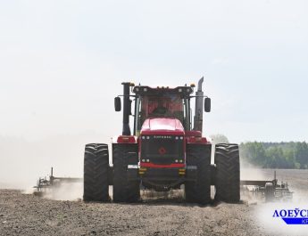 В Беларуси посеяно 85% площадей яровых культур