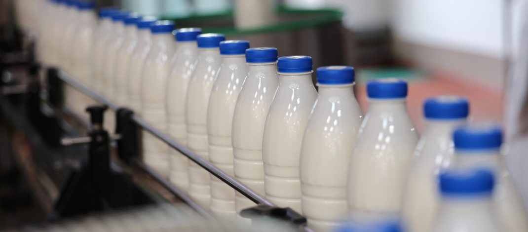 Производство сельхозпродукции в Беларуси в январе-мае увеличилось на 4,3%