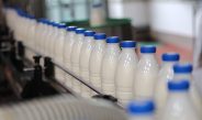 Производство сельхозпродукции в Беларуси в январе-мае увеличилось на 4,3%
