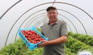Незабываемый вкус лета