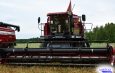 По следам селекторного совещания по вопросам уборочной кампании