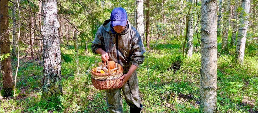 «Тихая охота» без ЧП: как не стать героем сводки МЧС