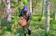 «Тихая охота» без ЧП: как не стать героем сводки МЧС