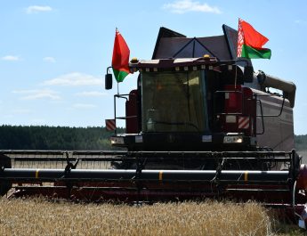 Лидеры жатвы в Лоевском районе на 13 августа