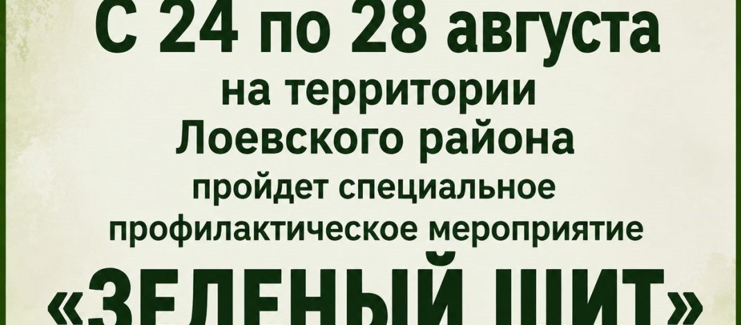 С 24 по 28 августа на территории Лоевского района пройдет специальное профилактическое мероприятие «Зелёный щит»