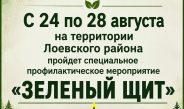 С 24 по 28 августа на территории Лоевского района пройдет специальное профилактическое мероприятие «Зелёный щит»
