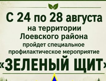 С 24 по 28 августа на территории Лоевского района пройдет специальное профилактическое мероприятие «Зелёный щит»