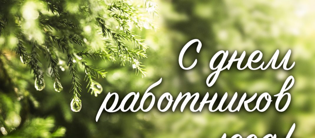 20 сентября — День работников леса