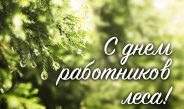 20 сентября — День работников леса