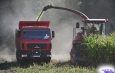 У аграриев каждый день на счету