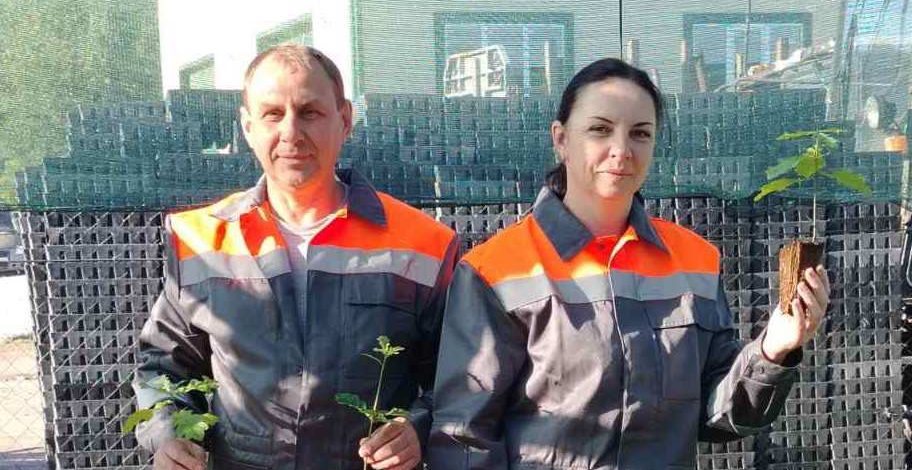 Сегодня семечко, а завтра — саженец